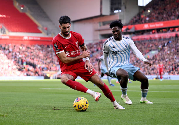 澳波强调 澳波强调