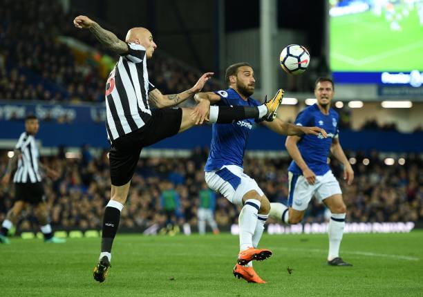 还具有稳健 还具有稳健