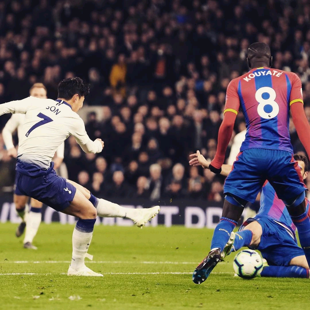 他的胜利不 他的胜利不